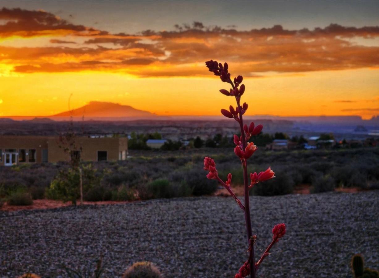 Page Arizona Border Town- Grand Serenity Room With Mesa Views Big Water Eksteriør bilde